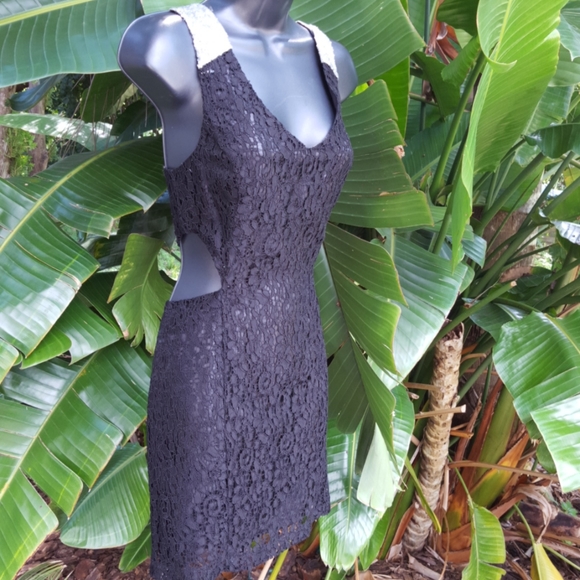 Cutout sequin and lace dress - Picture 1 of 7